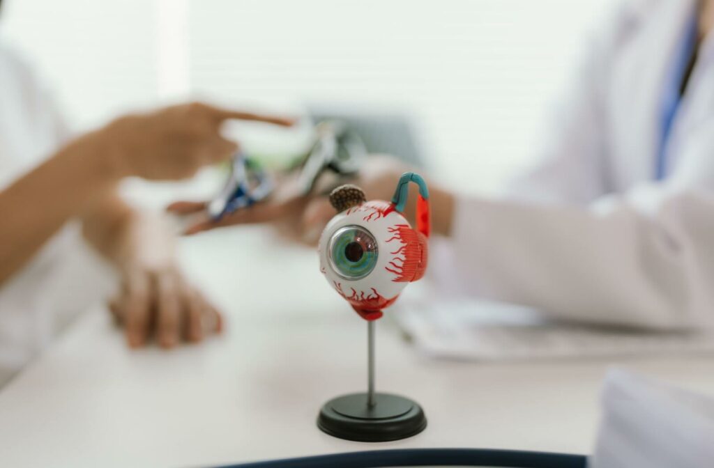Model of an eyeball on a stand placed on a desk, with two people in the background pointing and discussing eye-related materials.
